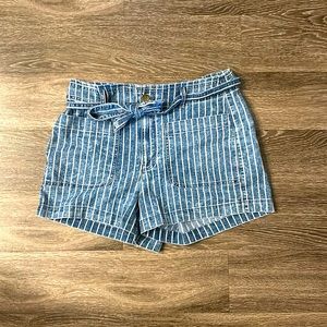 American Eagle Women’s Blue Shorts, Size: 14